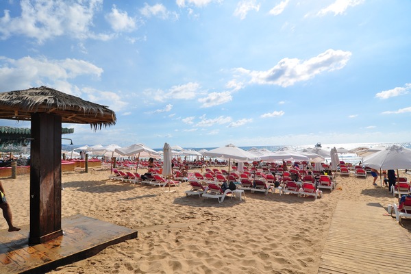 Edde Sands on Sunday